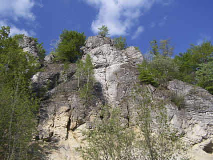 Kraliky